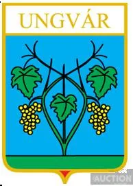 фото, значок геральдика  Ужгород  / Закарпатська область / 3 вид.