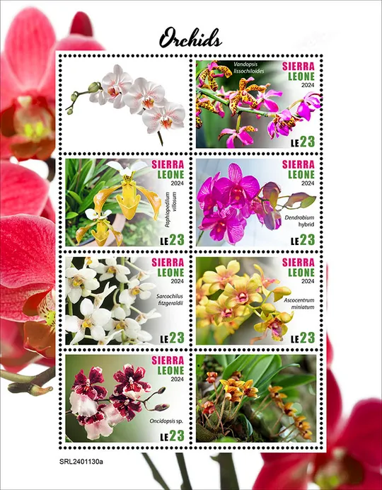 Сьерра Леоне - Орхидеи -2024.Чистый полный красивый комплект.MNH Ціна