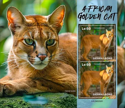 фото, Сьерра Леоне-Золотая Африканская Кошка-2024. Чистый полный красивый комплект. MNH.
