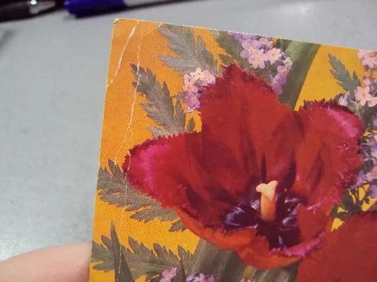 Купити открытка 1 мая дергилев 1987  №1739