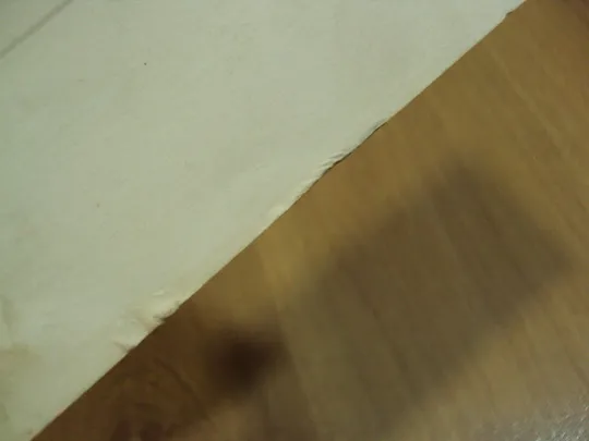 Открытка Поздравляю! цветы бабочка художник Н. Савельева 1989 год №18657 Де купити