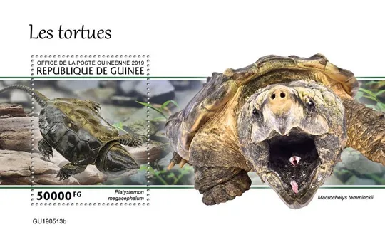 Купити Гвинея-Черепахи-2019.Чистый полный комплект.MNH.