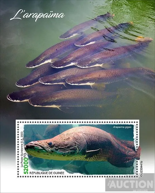 Купити Гвинея-Рыбы-Арапайя-2023.Чистый полный красивый комплект- М/Лист + Блок. MNH.
