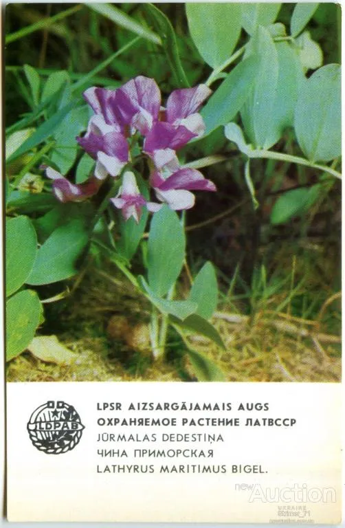 Календарик карманный Чина Приморская 1984 Ціна