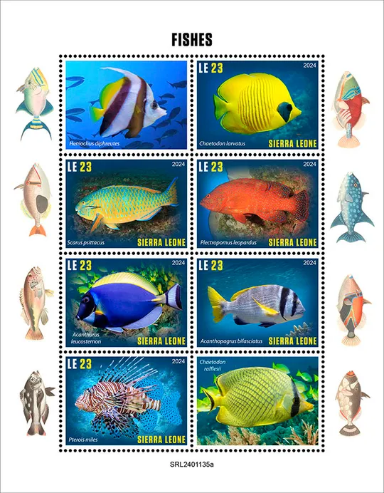 Сьерра Леоне - Рыбы -2024.Чистый полный красивый комплект.MNH Ціна