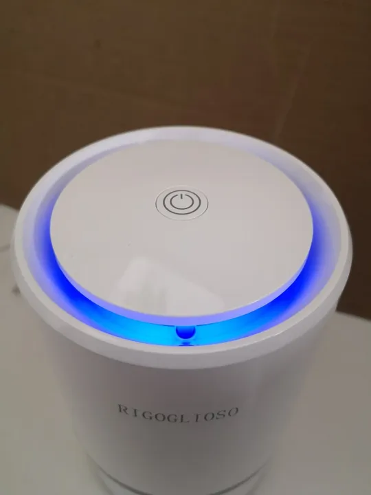 RIGOGLIOSO очищувач повітря для будинку з фільтром HEPA (17) в Україні