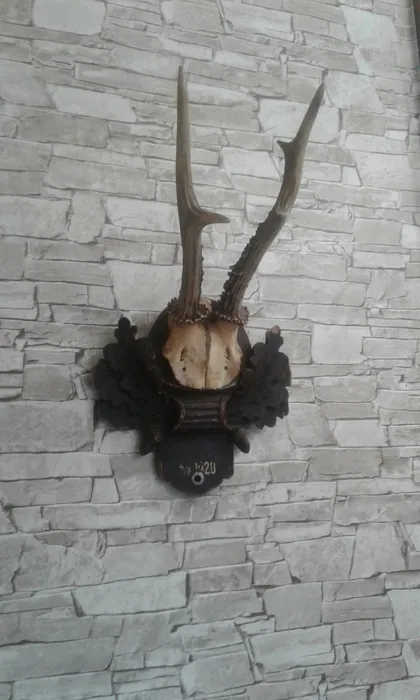 фото, Інтер'єрний декор. роги косулі 1920 року