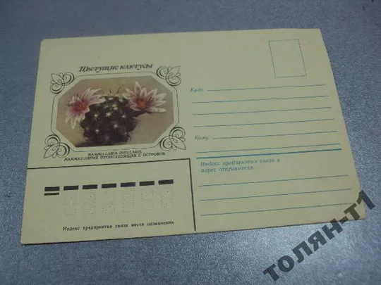 конверт кактусы 1983 горин №7742 Ціна