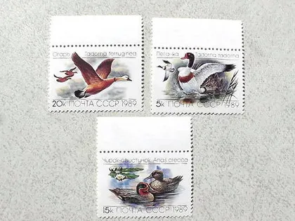 фото, Серія поштових марок СССР " Качки " 1989 рік **