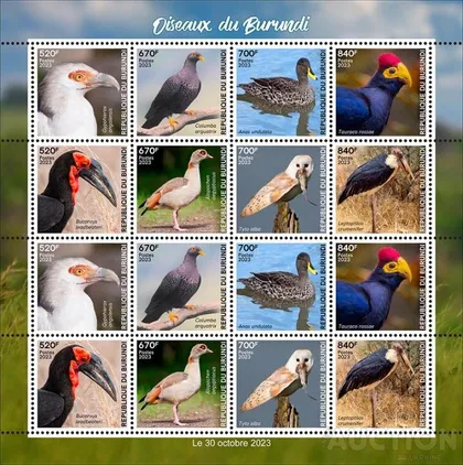 фото, Бурунди - Птицы - Носороги -2023. Чистый полный красивый комплект. MNH.