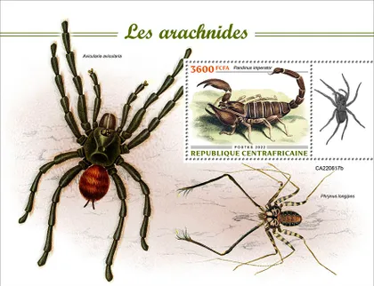 фото, ЦАР-Паукообразные-2022 Чистый полный красивый комплект. MNH.