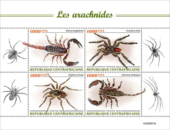 Купити ЦАР-Паукообразные-2022 Чистый полный красивый комплект. MNH.