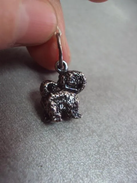 подвеска кулон собака щенок собачка пудель серебро 925 проба вес 4,84 г З аукціону