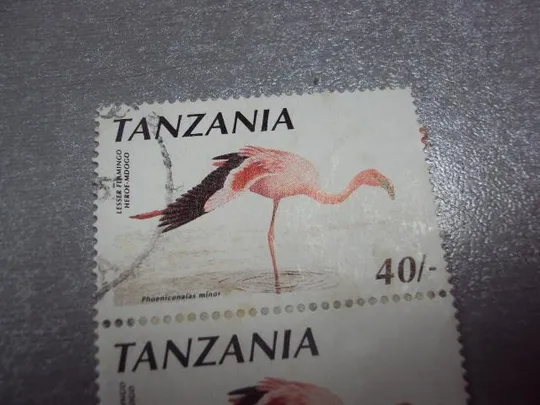 Купити марки сцепка Танзания 1998 птицы фауна розовый фламинго гаш №1866