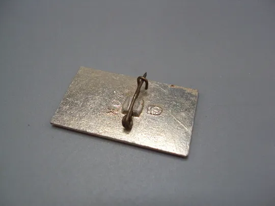 Купити Знак флот корабль теплоход Шота Руставели морфлот Пассажирский лайнер №17239