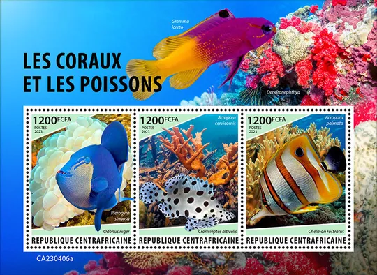 ЦАР-Кораллы и Рыбы -2023.Чистый полный красивый комплект.MNH. Ціна