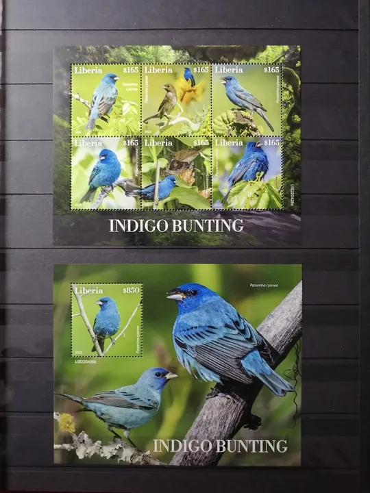 Либерия-Птицы-2022.Чистый полный красивый комплект-MNH З аукціону