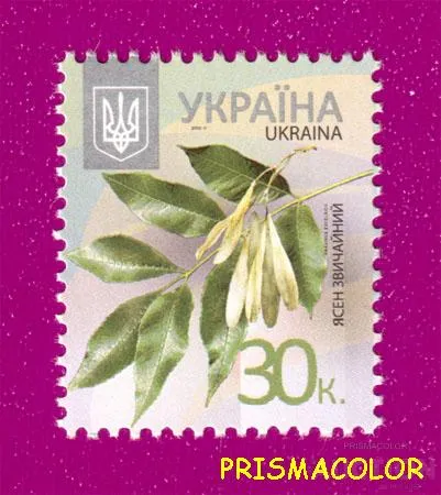 фото, ** УКРАИНА 2012 N1180 марка 8-ой Стандарт 0,30 Ясень Флора