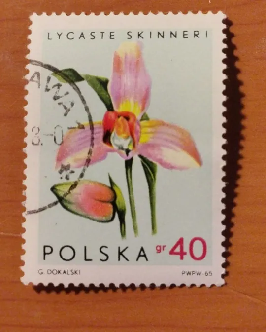 1965 Польща Орхідеї Ціна