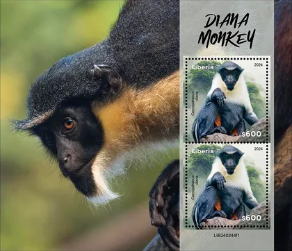 фото, Либерия-Обезьяна Диана -2024. Чистый полный красивый комплект. MNH.
