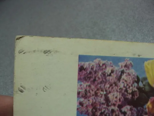 открытка с праздником 1966 костенко №10994 Де купити