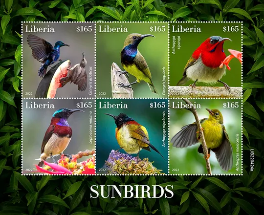 Купити Либерия-Птицы-Нектарницы 2022.Чистый полный красивый комплект-MNH