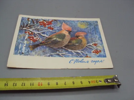Открытка С Новым годом! птички и калина художник Л. Манилова 1975 год №16295 Ціна