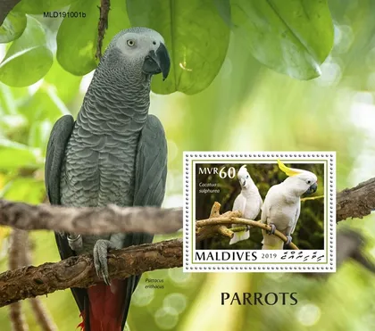 фото, Мальдивы - Попугаи -2019.Чистый полный красивый комплект. MNH.