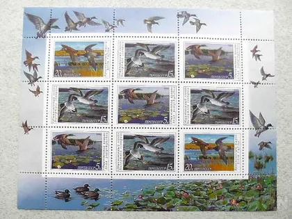 фото, Поштовий малий аркуш марок СССР 1990 рік Фауна "Качки"
