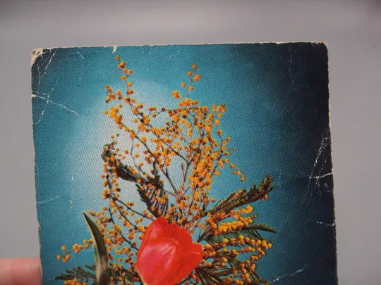 Купити Открытка С праздником 8 марта букет цветы тюльпаны и мимозы К. Шамшин и Р. Якименко 1972 год №17912