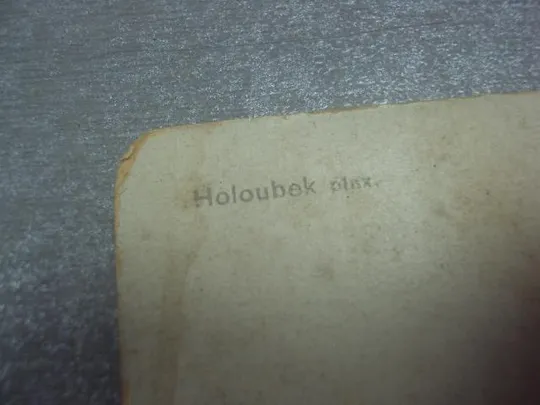 открытка holoubek девушка ню  №1525 Продаж