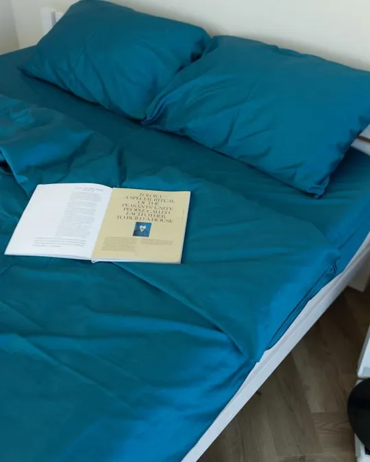 Постельное белье евро Dushka Home Сатин Люкс 20914 200х220 см индиго Продаж