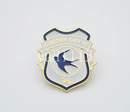 фото, футбол  ФК Кардифф Сити Уэльс