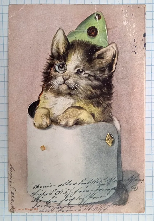 Поштова картка Котик з моноклем Котики 1903 рік Австрія bZ08 Ціна