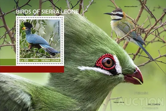 Купити Сьерра Леоне - Птицы -2023. Чистый полный красивый комплект. MNH.