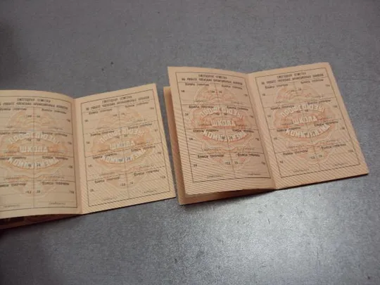 документ профсоюзный билет лот 2 шт №1700 Продаж