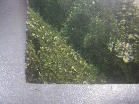 Купити Открытка Станиславская область Горная река фото Кузьменка, Билозерова 1960 №1146