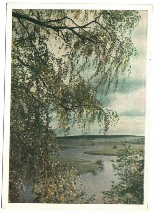 Сороть голубая Ціна