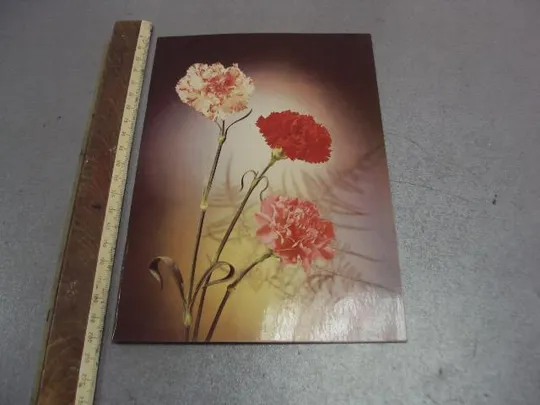 открытка с днем рождения киндрова 1982 двойная большая №4420 Ціна