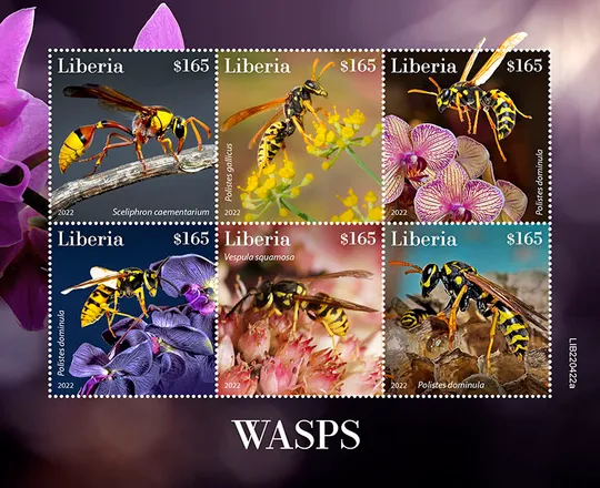 Купити Либерия-Осы-2022. Чистый полный красивый комплект. MNH.