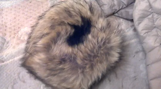 Купити Шапка женская чернобурка