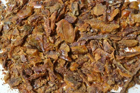 Прополіс З аукціону