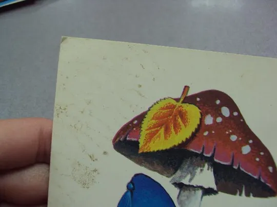 Купити открытка первый раз - в первый класс четвериков 1985 №3318