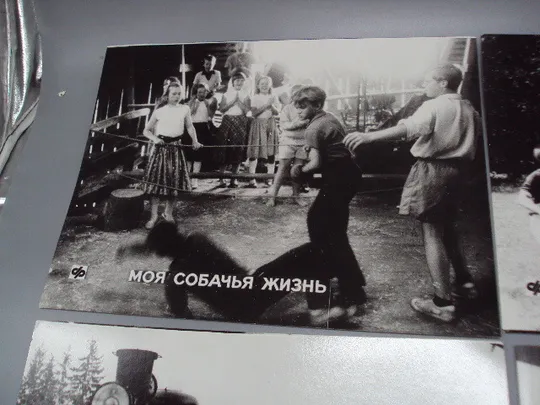 Кадр из фильма Моя собачья жизнь 1, 2, 3, 4, 5, 6 - 92 фотография 23,7х18,3 см лот 6 шт №18352МЯ Інтернет-аукціон