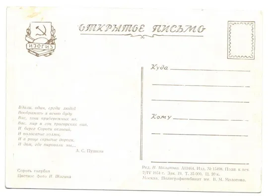 Купити Сороть голубая