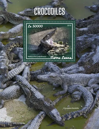 фото, Сьерра Леоне-Крокодилы-2019. Чистый полный красивый комплект. MNH.