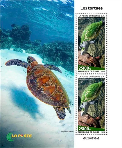 фото, Гвинея-Черепахи - 2024. Чистый полный красивый комплект. MNH.