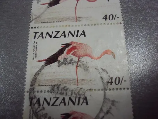 марки сцепка Танзания 1998 птицы фауна розовый фламинго гаш №1866 З аукціону