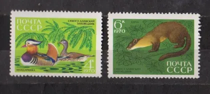 фото, СИХОТЭ-АЛИНЬСКИЙ ЗАПОВЕДНИК = 1970 р. = СССР - СРСР = негаш. ==