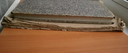 Последняя борьба балтийских славян против онемечения 1876 г Продаж